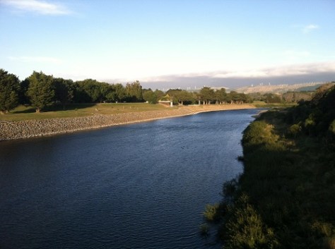 The Manawatu River