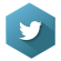 Twitter-icon